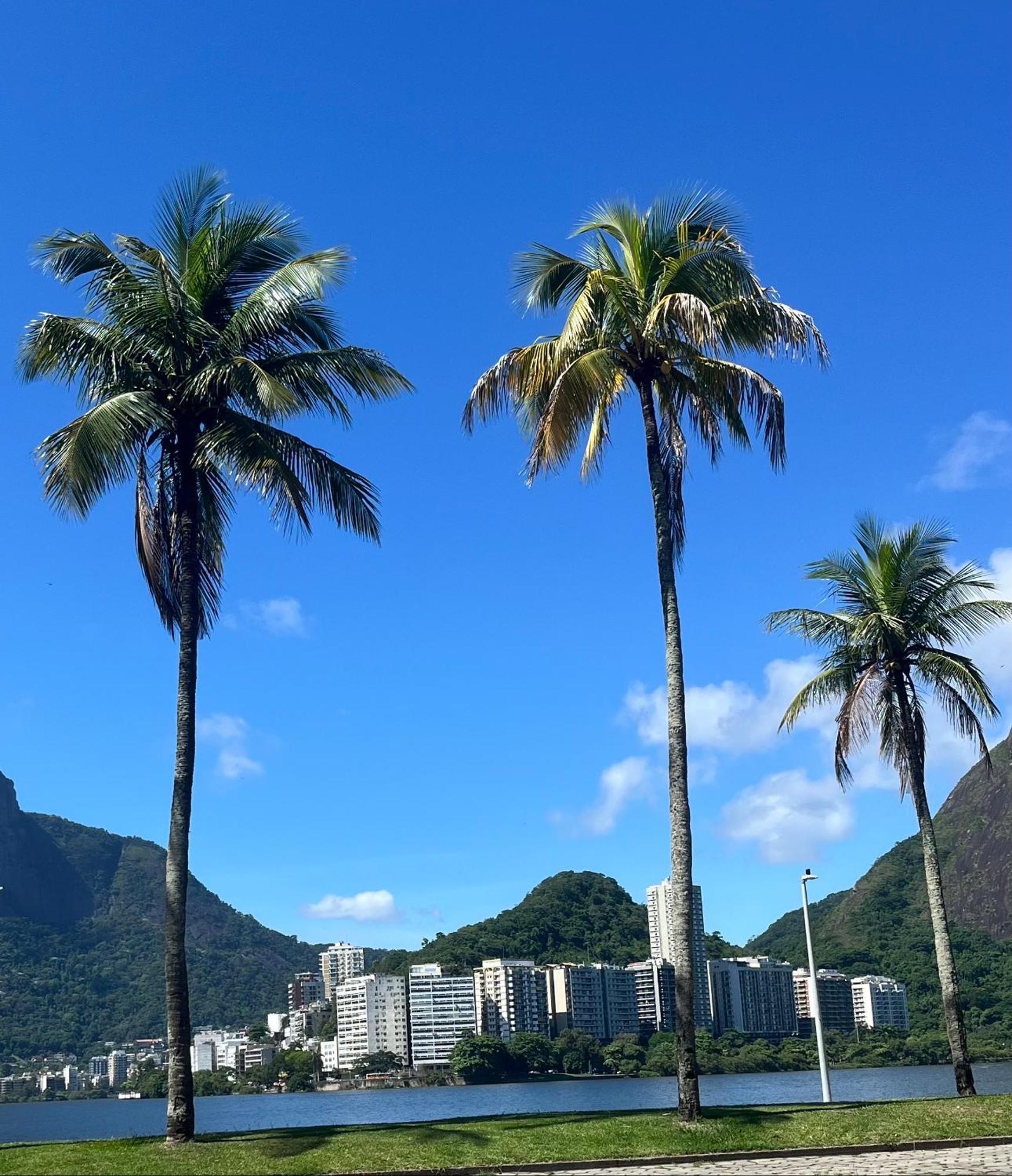 Leblon Com Piscina E Academia Novo Apartamento